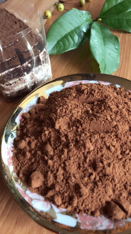 پودر کاکائو کم چرب، پروتئین هلندی، پودر کاکائو برای کاهش وزن